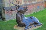 deer-brochure-121