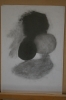 IMGP5535