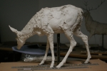 maquettes-033