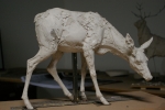 maquettes-034