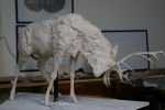 maquettes-059