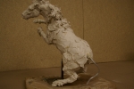 stalion-maquette-15